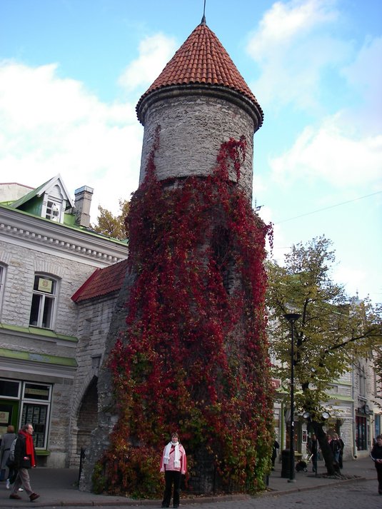 Tallinn