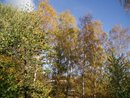 Kindergarten Tikkurila: Blick über den Gartenzaun